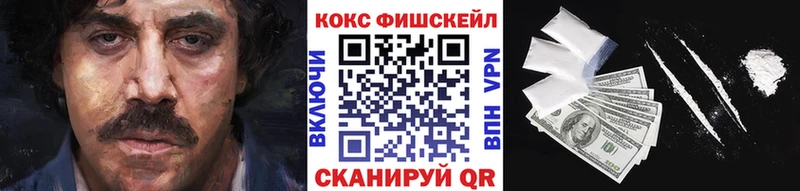 купить закладку  Курганинск  Cocaine Fish Scale 