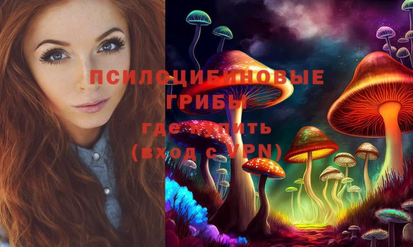 сатива Алексеевка