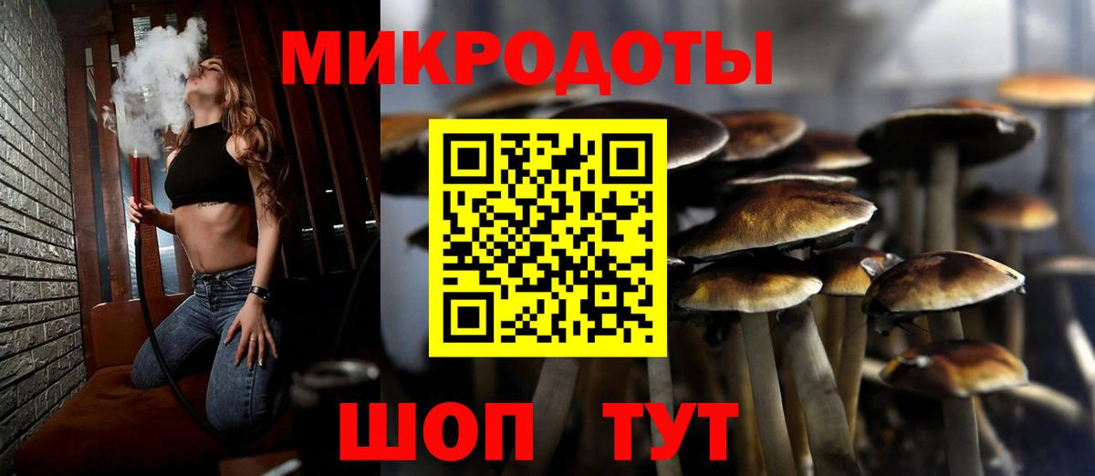 Галлюциногенные грибы мухоморы  Псилоцибиновые грибы MAGIC MUSHROOMS  Вход с VPN  Курганинск 